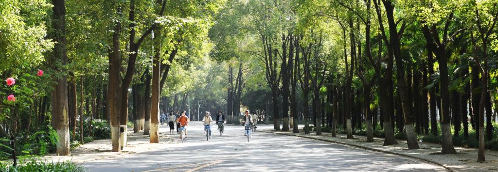 巡司河畔的沿河大道